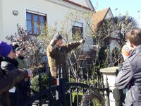 Rosenschnittkurs